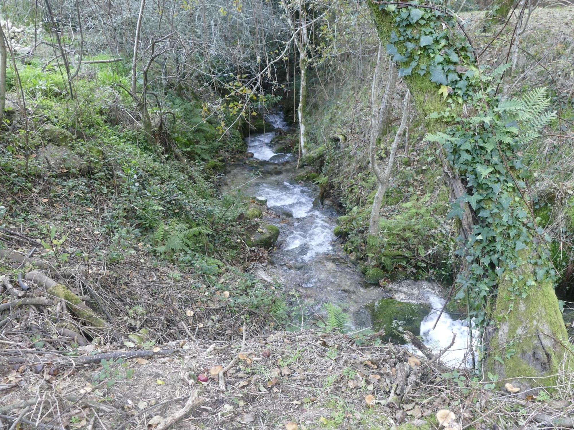 Casita A Estrenar En Finca Con Rio Proxima A Tui, Gondomar Y Portugal. Экстерьер фото
