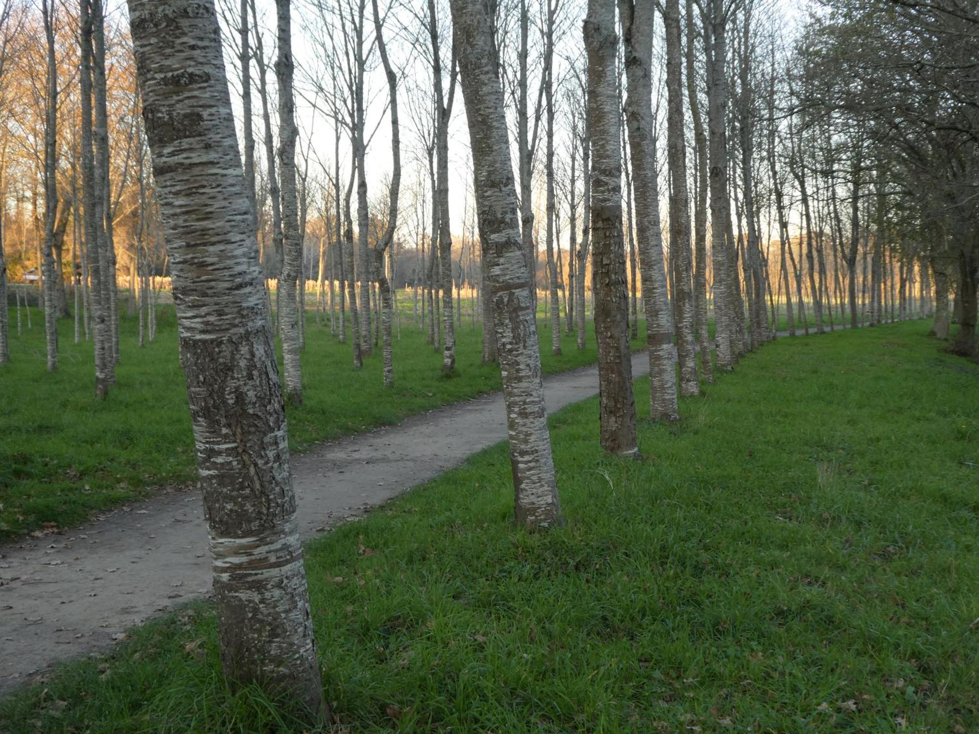 Casita A Estrenar En Finca Con Rio Proxima A Tui, Gondomar Y Portugal. Экстерьер фото